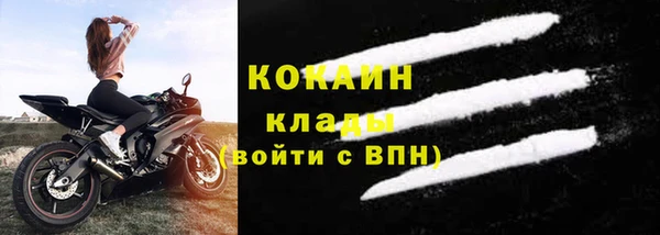хмурый Абаза