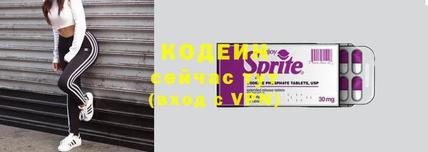 хмурый Абаза