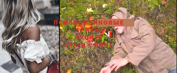 хмурый Абаза