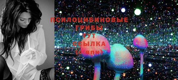 хмурый Абаза